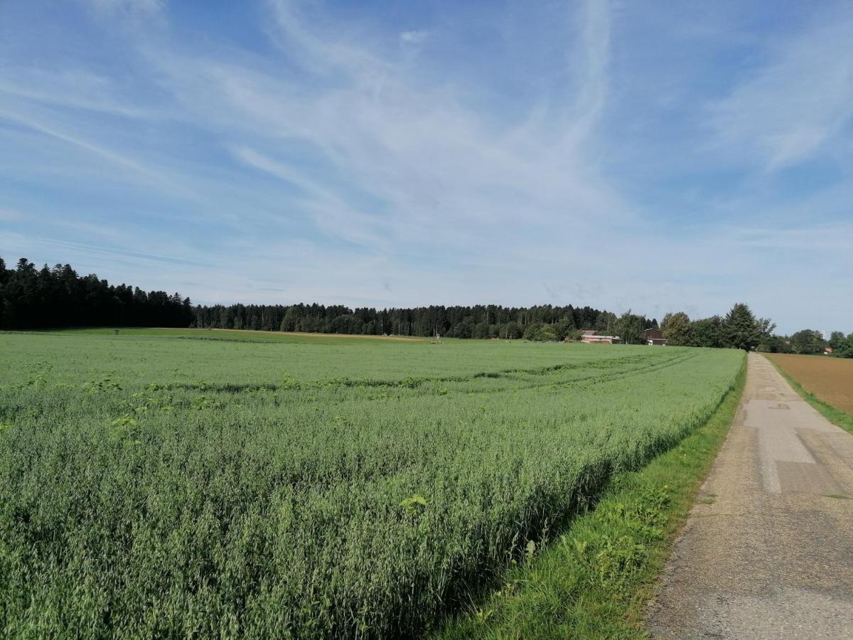 Feriendomizil Naturliebe Dornhan Esterno foto