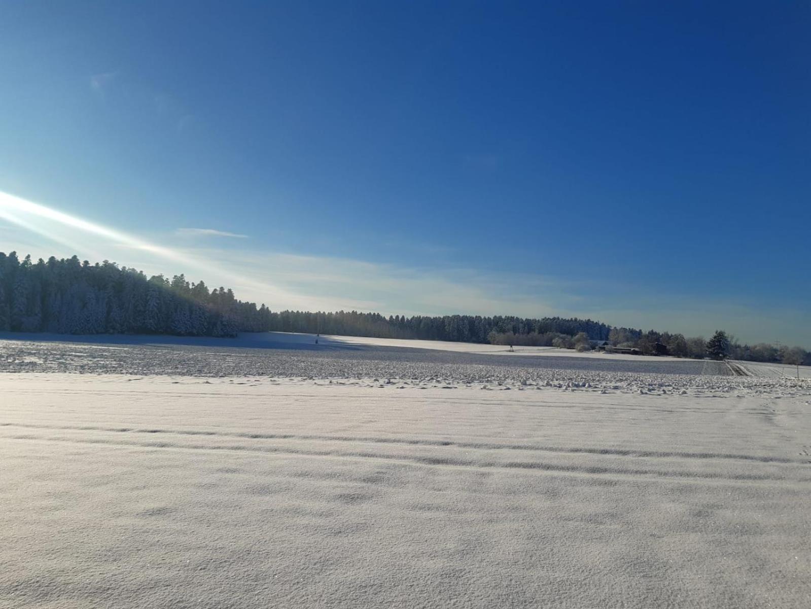 Feriendomizil Naturliebe Dornhan Esterno foto