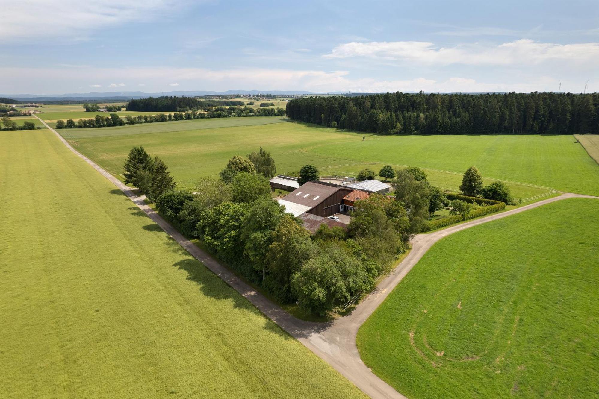Fewo Naturliebe - Keine Monteure Dornhan Esterno foto